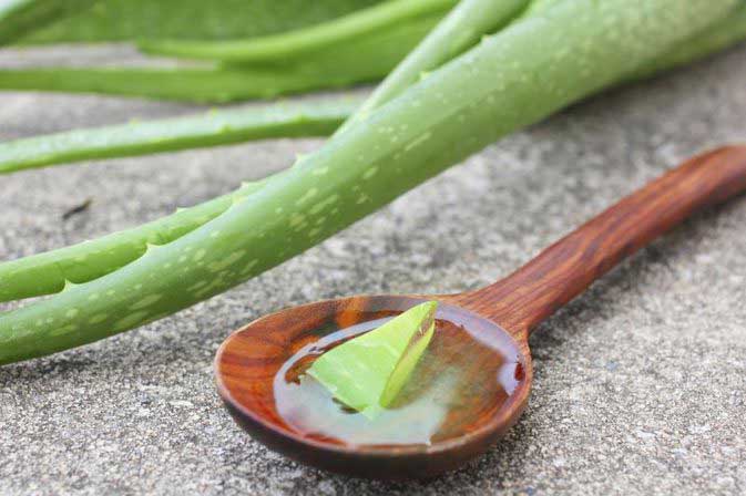 Aloe Vera and Honey for Hair